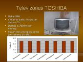 Suvartotos elektros energijos apskaita ir taupymas 16 puslapis