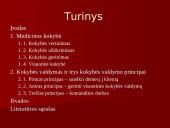 Sveikatos priežiūros kokybės valdymas 2 puslapis