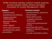 Sveikatos priežiūros kokybės valdymas 12 puslapis
