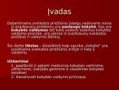 Sveikatos priežiūros kokybės valdymas 3 puslapis