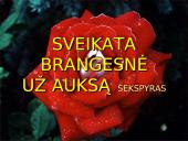 Sveikatos ugdymo sampratos 2 puslapis