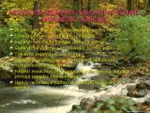 Sveikatos ugdymo sampratos 12 puslapis