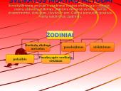 Sveikatos ugdymo sampratos 16 puslapis