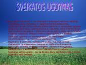 Sveikatos ugdymo sampratos 6 puslapis