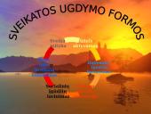 Sveikatos ugdymo sampratos 8 puslapis