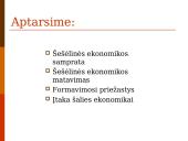 Šešėlinės ekonomikos samprata ir ypatumai 2 puslapis