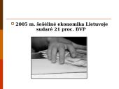 Šešėlinės ekonomikos samprata ir ypatumai 11 puslapis