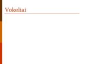 Šešėlinės ekonomikos samprata ir ypatumai 12 puslapis