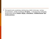 Šešėlinės ekonomikos samprata ir ypatumai 13 puslapis