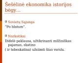 Šešėlinės ekonomikos samprata ir ypatumai 16 puslapis