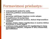 Šešėlinės ekonomikos samprata ir ypatumai 5 puslapis