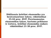 Šešėlinės ekonomikos samprata ir ypatumai 9 puslapis