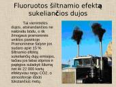 Šiltnamio efektas. Dujos griaunančios gamtos pusiausvyrą 12 puslapis
