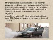 Šiltnamio efektas. Dujos griaunančios gamtos pusiausvyrą 9 puslapis