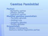 Šilutės rajono esamos padėties apžvalga ir rekreacijos vystymo galimybės 11 puslapis