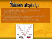 Šviesos reiškiniai 5 puslapis