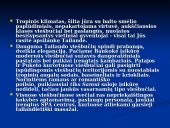 Tailando kurortų viešbučiai 2 puslapis