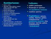 Tailando kurortų viešbučiai 17 puslapis