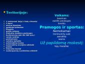 Tailando kurortų viešbučiai 5 puslapis