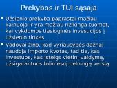 Tarptautinė prekyba ir tiesioginės užsienio investicijos 12 puslapis