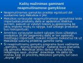 Tarptautinė prekyba ir tiesioginės užsienio investicijos 17 puslapis