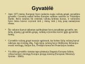 Tarptautinė valiutos sistema 13 puslapis