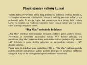 Tarptautinė valiutos sistema 14 puslapis