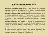 Tarptautinė valiutos sistema 16 puslapis