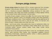Tarptautinė valiutos sistema 17 puslapis