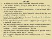 Tarptautinė valiutos sistema 18 puslapis