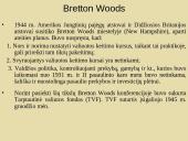 Tarptautinė valiutos sistema 3 puslapis