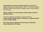 Tarptautinė valiutos sistema 9 puslapis