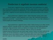 Tarptautiniai apskaitos standartai. Lizingas 16 puslapis