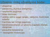 Tarptautinių rinkų pasirinkimas plečiant veiklą 13 puslapis