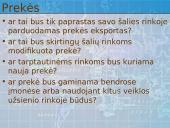 Tarptautinių rinkų pasirinkimas plečiant veiklą 17 puslapis