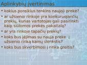 Tarptautinių rinkų pasirinkimas plečiant veiklą 18 puslapis