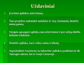Tauragės miesto gatvių teršimo automobilių išmetamosiomis medžiagomis vertinimas 3 puslapis