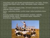 Tautų muzika: Graikija, Rumunija, Bulgarija, Vengrija 12 puslapis