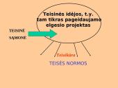 Teisėkūros samprata ir būdai 3 puslapis