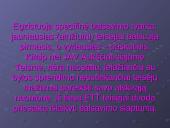 Teisingumo Teismo sprendimo galia 4 puslapis