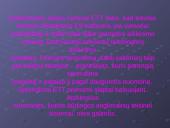 Teisingumo Teismo sprendimo galia 5 puslapis