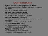 Telefoninių pagalbos linijų veikla Lietuvoje 16 puslapis