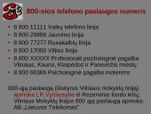 Telefoninių pagalbos linijų veikla Lietuvoje 3 puslapis