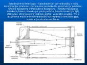 Teleskopo prietaisas 11 puslapis