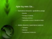 Terminuotų sandorių valiutos rinka 2 puslapis