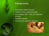 Terminuotų sandorių valiutos rinka 11 puslapis