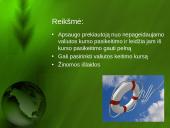 Terminuotų sandorių valiutos rinka 12 puslapis