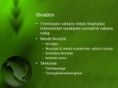 Terminuotų sandorių valiutos rinka 15 puslapis