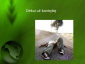 Terminuotų sandorių valiutos rinka 17 puslapis