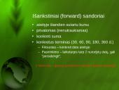 Terminuotų sandorių valiutos rinka 3 puslapis